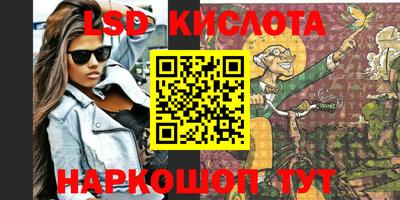 шишки Будённовск