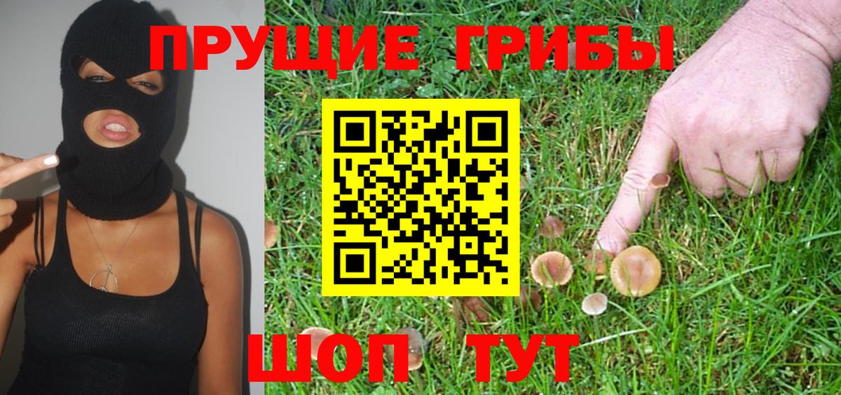 Псилоцибиновые грибы мицелий  сколько стоит  Чайковский  Вход с VPN 